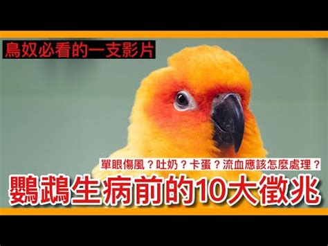 死鳥處理|死鳥清除